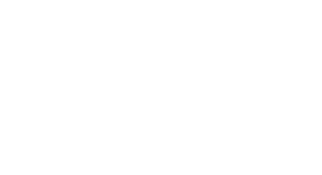 Majestic Limousine Water Taxis