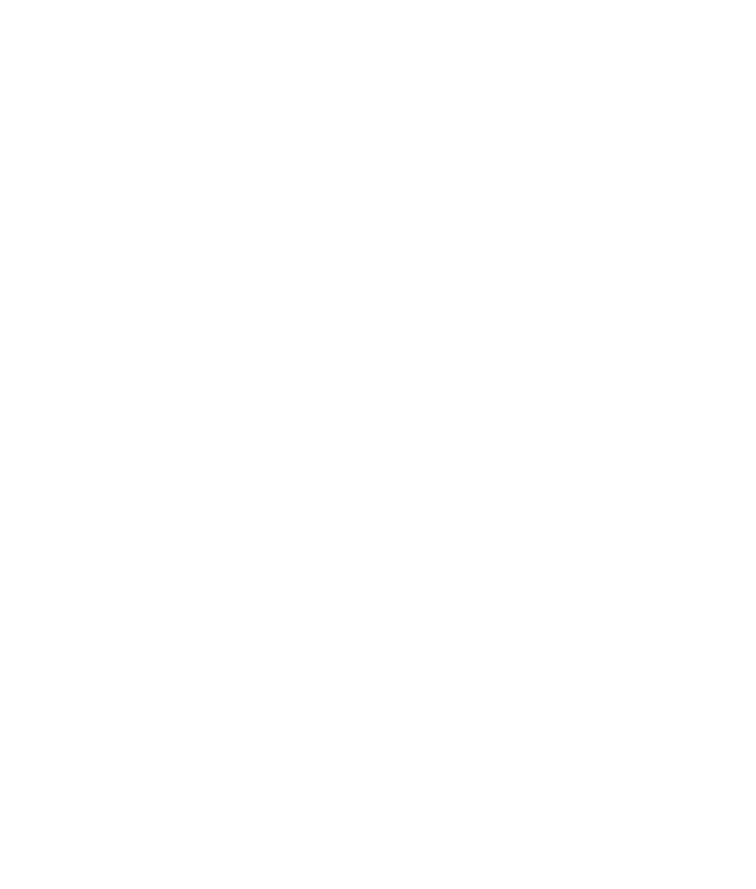 Travelers Choice Award