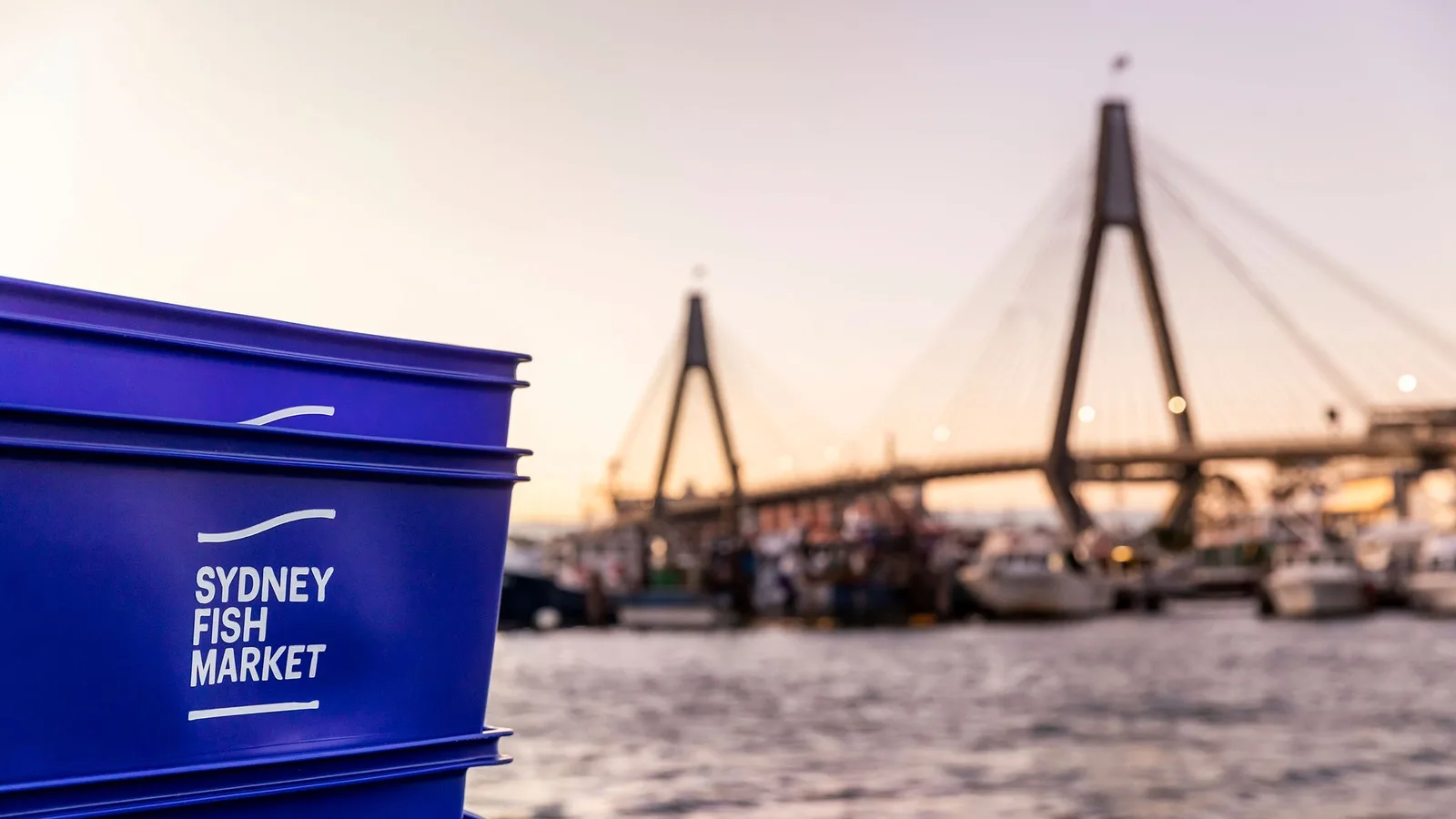 Sydney Fish Market crates with the Anzac Bridge and fishing fleet behind