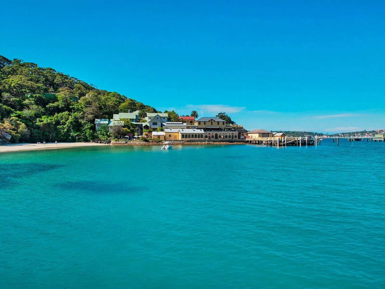 A beach at Chowder Bay with a water taxi nearby