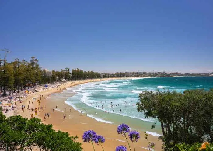 Manly Beach, one of the attractions to see in Manly