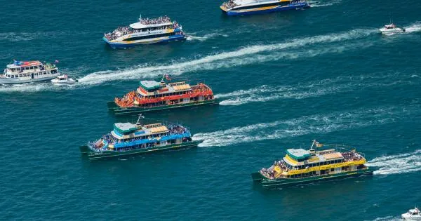 Sydney ferries racing in the Ferrython on Australia Day