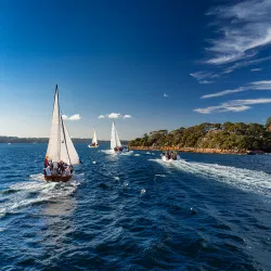 Yachts racing on Sydney Harbour
