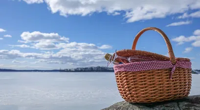 Picnic basket at a lookout over Sydney Harbour