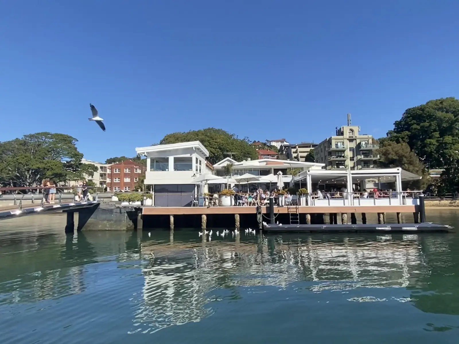Riva Restaurant and Ripples Café dining decks on the waterfront at Rose Bay Marina
